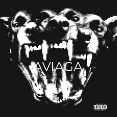 Aviaga - OutDuhBox