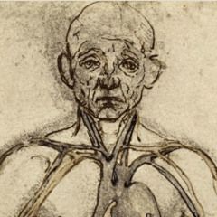 vena cilis