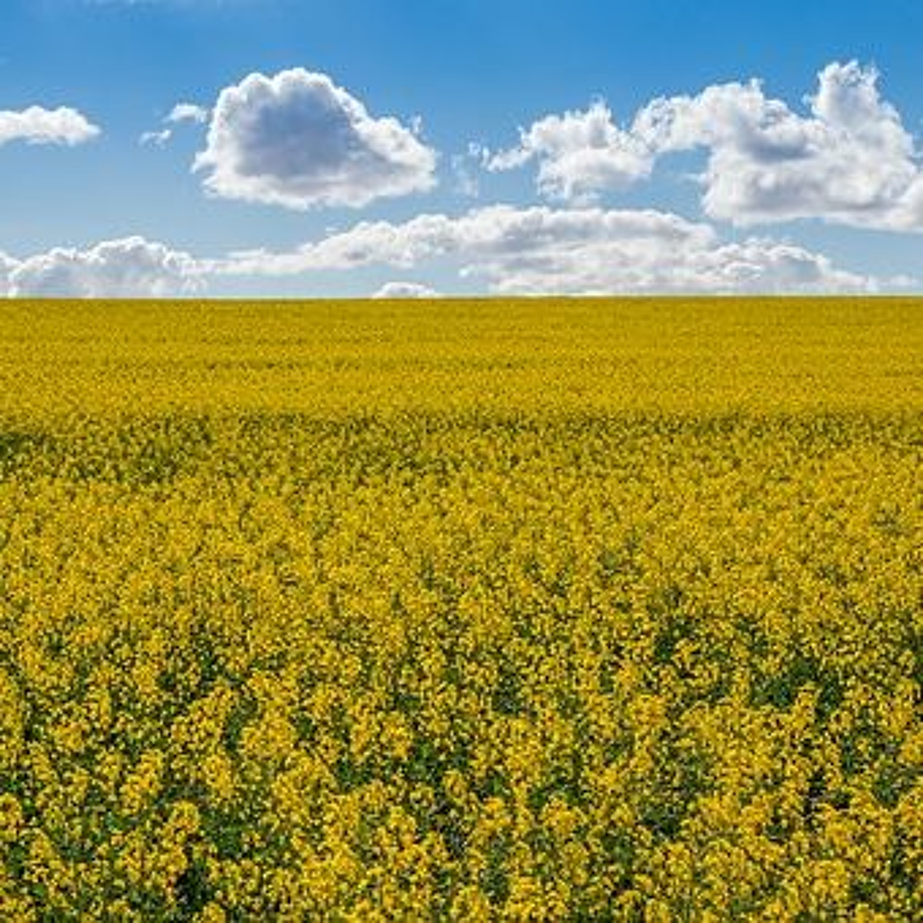 Advisory committee on Federal Government's Sustainable Agriculture Strategy struck episode artwork