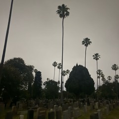 hillz