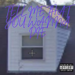 Tell me that you wanna die (conner diss)
