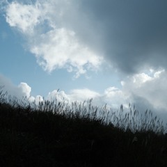 themoonandstars