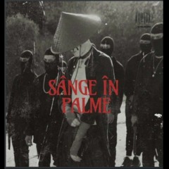 KILLA FONIC - SANGE IN PALME