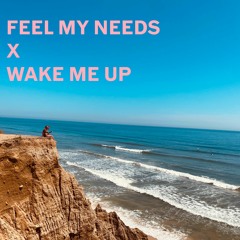 Feel My Needs x Wake Me Up (nycMatthew Mashup)