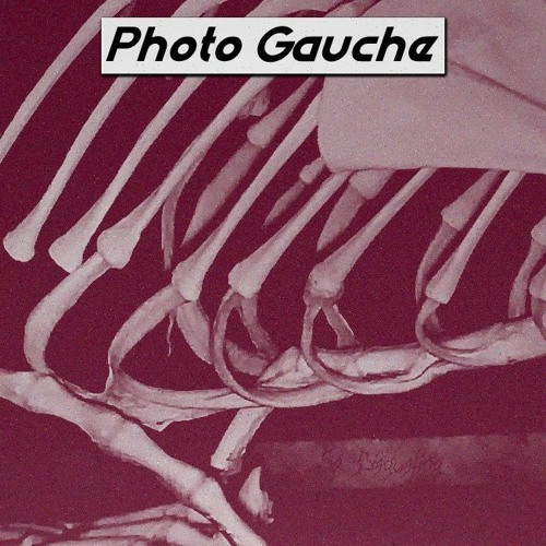 ...So Disgusting (Demo)