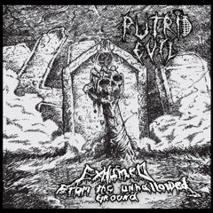 PUTRID EVIL - Immersed In Cadaverous Stench