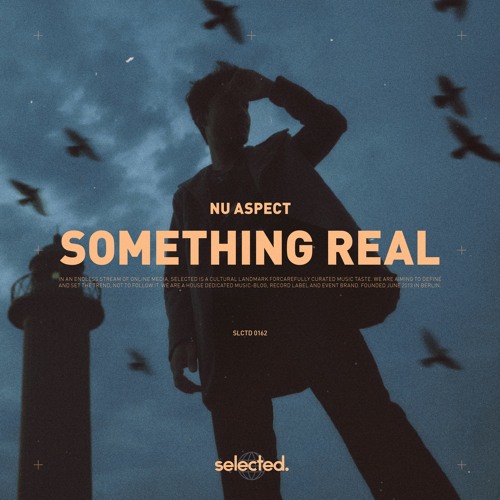 Nu Aspect - Something Real