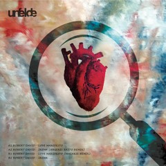 PREMIERE: Robert David - Love Manifesto (Macarie Remix)[UFDV003]