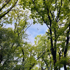 サンサーラ 和楽奏伝