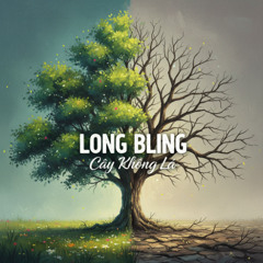 CÂY KHÔNG LÁ