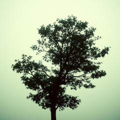 Why did you open the way to the soul