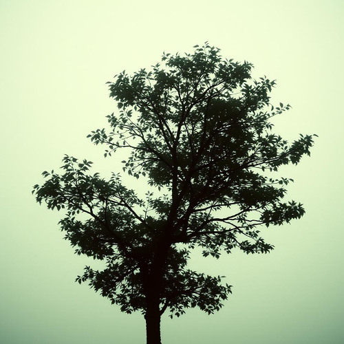Why did you open the way to the soul