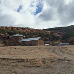 Tuğba Yurt - Sığınak