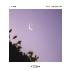 D.Polo - Sun Goes Down