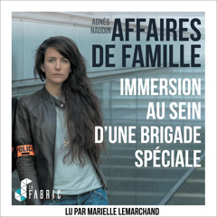 AFFAIRES DE FAMILLE -  AGNES NAUDIN - Chapitre 1