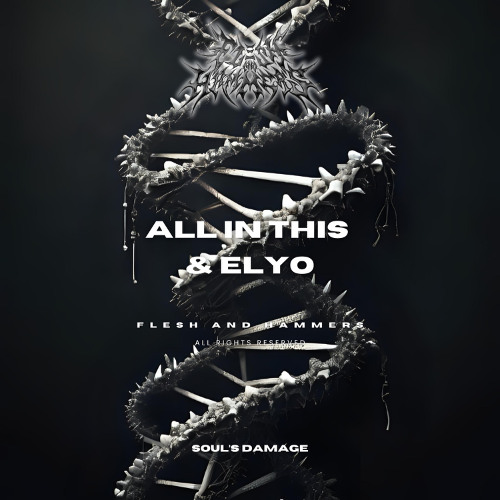 FAH049 | ALL IN THIS X ELYO - SOUL'S DAMAGE (Original Mix)