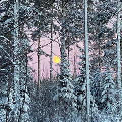 Vinter (Jag älskar dig till månen och tillbaka)