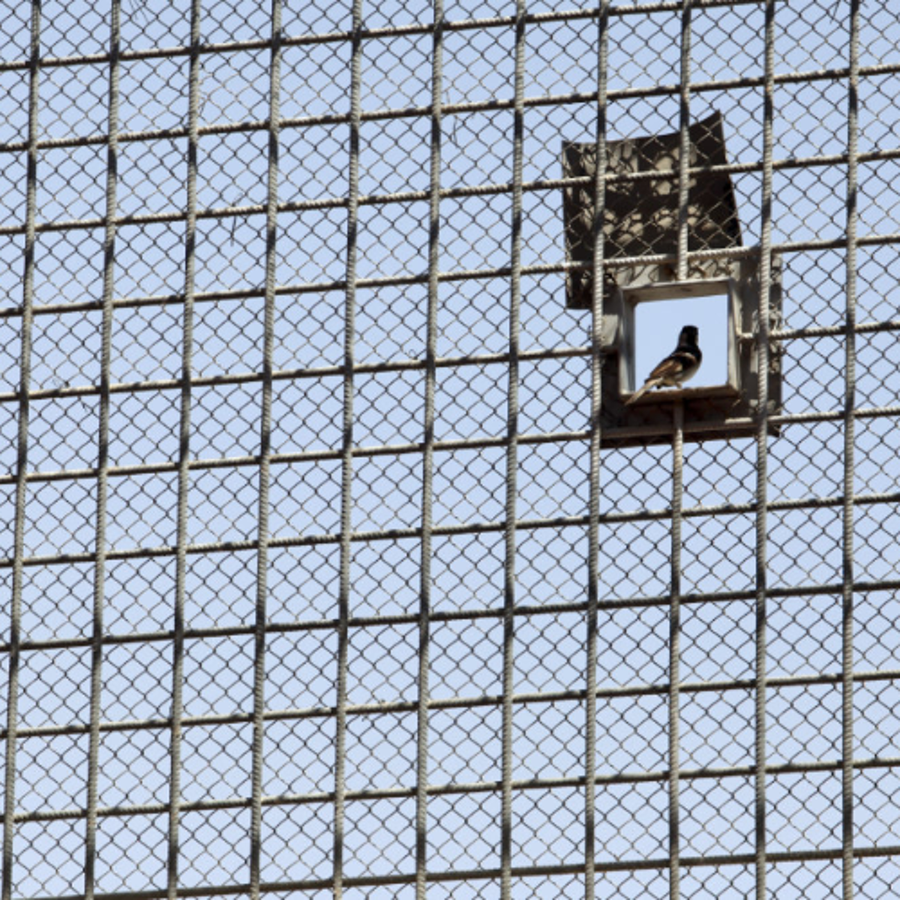 Outsourcing humanity? International law, humane treatment, and artificial intelligence in detention operations