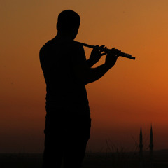 Ahmed Arif