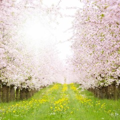 Leo Dantès & Kevin Hoskin - Spring 2022