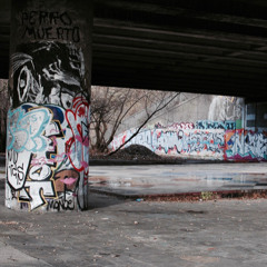 FLEX RADIO 111