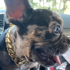 AndyBoutCash x Choppa x Free Choppa