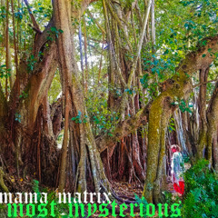 mama matrix most mysterious