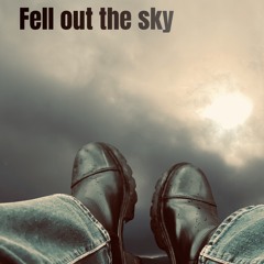 Fell out the sky