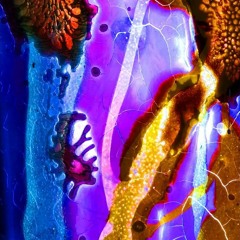 RAGAZZI NELLA NEBBIA - REMIX