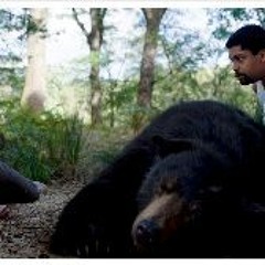 Cocaine Bear (2023) FullMovie MP4/720p 1550662