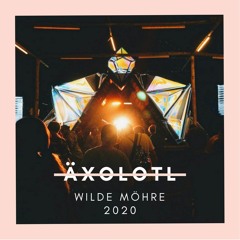 ÄXOLOTL @ Wilde Möhre Festival 2020