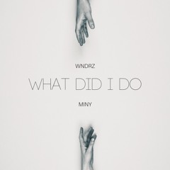 What Did I Do (feat. MINY)