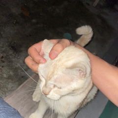 maher zain- barakallah (sped up)