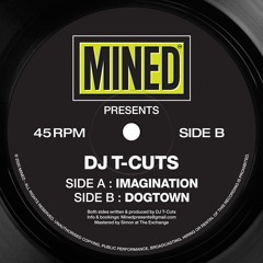 Imagination MINED 004 DJ T - CUTS