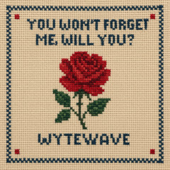 YOU WON"T FORGET ME, WILL YOU?