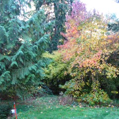 i gave it up to the lord and he blessed me on it