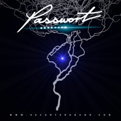 Passwort - Wer Bist Du ??! (Memphis Phonk MIX)