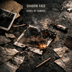 The Truth Keeps Receipts