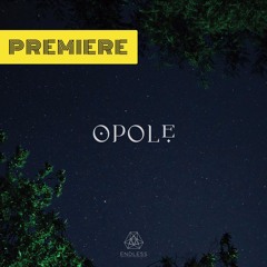 PREMIERE: OPOLE 'Gilded Not Golden' - [ENDLESS]