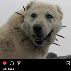 50 Cent What Up Gangsta Edit P.I.M.P Flip