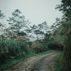 利嘉林道 Ligavon Trail