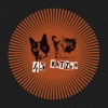 Caleesi & Kreis @ Kater Blau | 45 Katzen | Acidbogen DJ mix artwork - Electronic music tracklist cover image