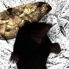 trlp&che neg-ヒミズ。(prod.trlp)