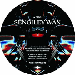 VA SNGWAX02 Preview (Vinyl Only)