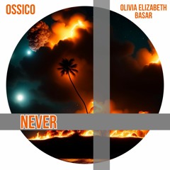 Never (feat. Olivia Elizabeth Basar)