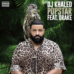 DJ Khaled ft. Drake - POPSTAR (Insko Slap House Remix)
