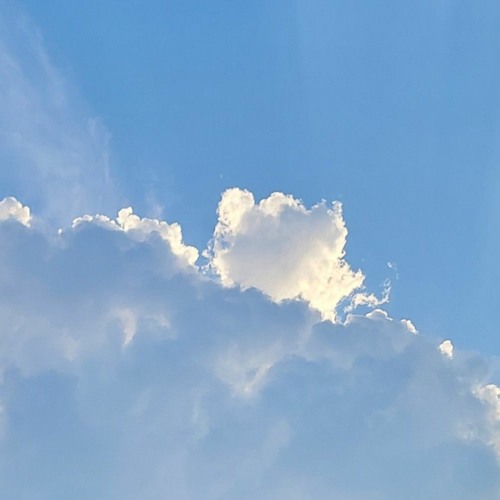 fly high (feat. JUNGI & sangwooner)