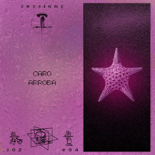 Low Visibility - sessions - S02 E04 Caro Arroba