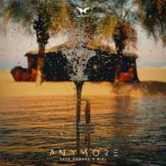 Dave Andres & RIEL - Anymore