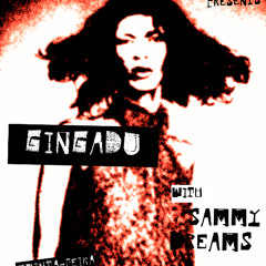Sammy Dreams I Gingadu @FunctionFM 12.09.2024